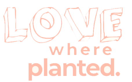 LoveWhere_Planted